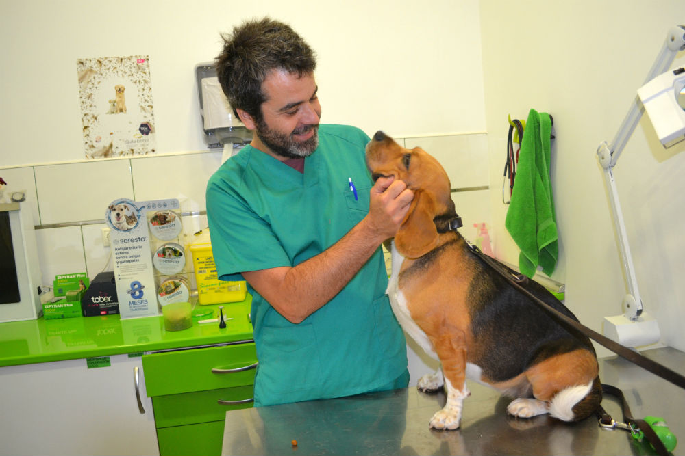 Jaime, Veterinario de la clínica veterinaria Bitxos