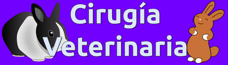 Quirófano de la clínica veterinaria Bitxos
