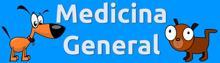 Consulta de medicina general en la clínica veterinaria Bitxos