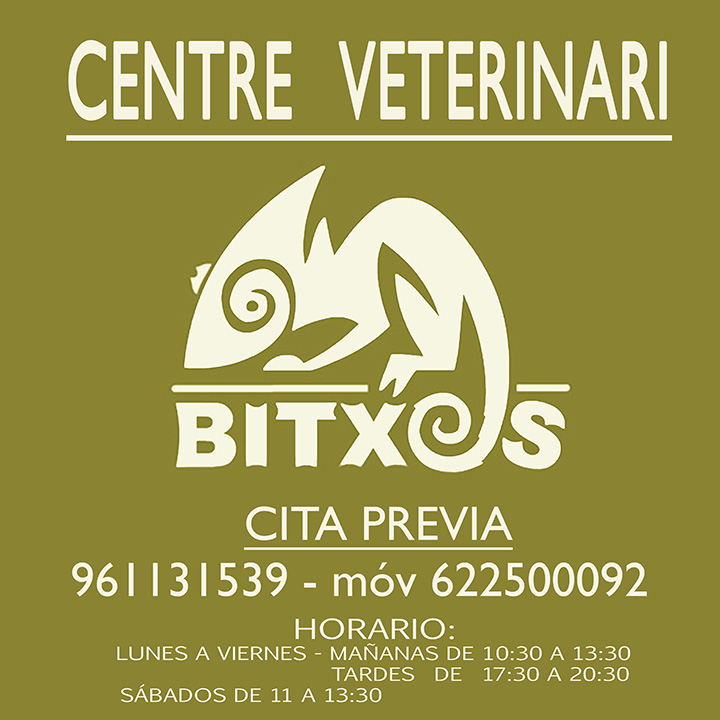 Clínica Veterinaria Bitxos en Burjassot (Valencia)